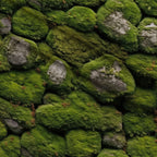 Moss Textures Pattern 7 Minky Fabric — plush minky folded close-up preview (mv-minky-v1:lying)