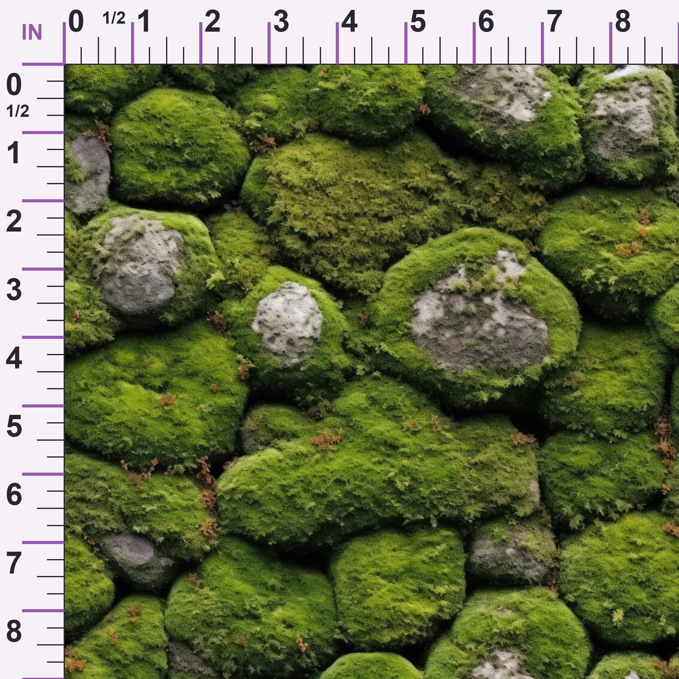 ruler-scale (auto)