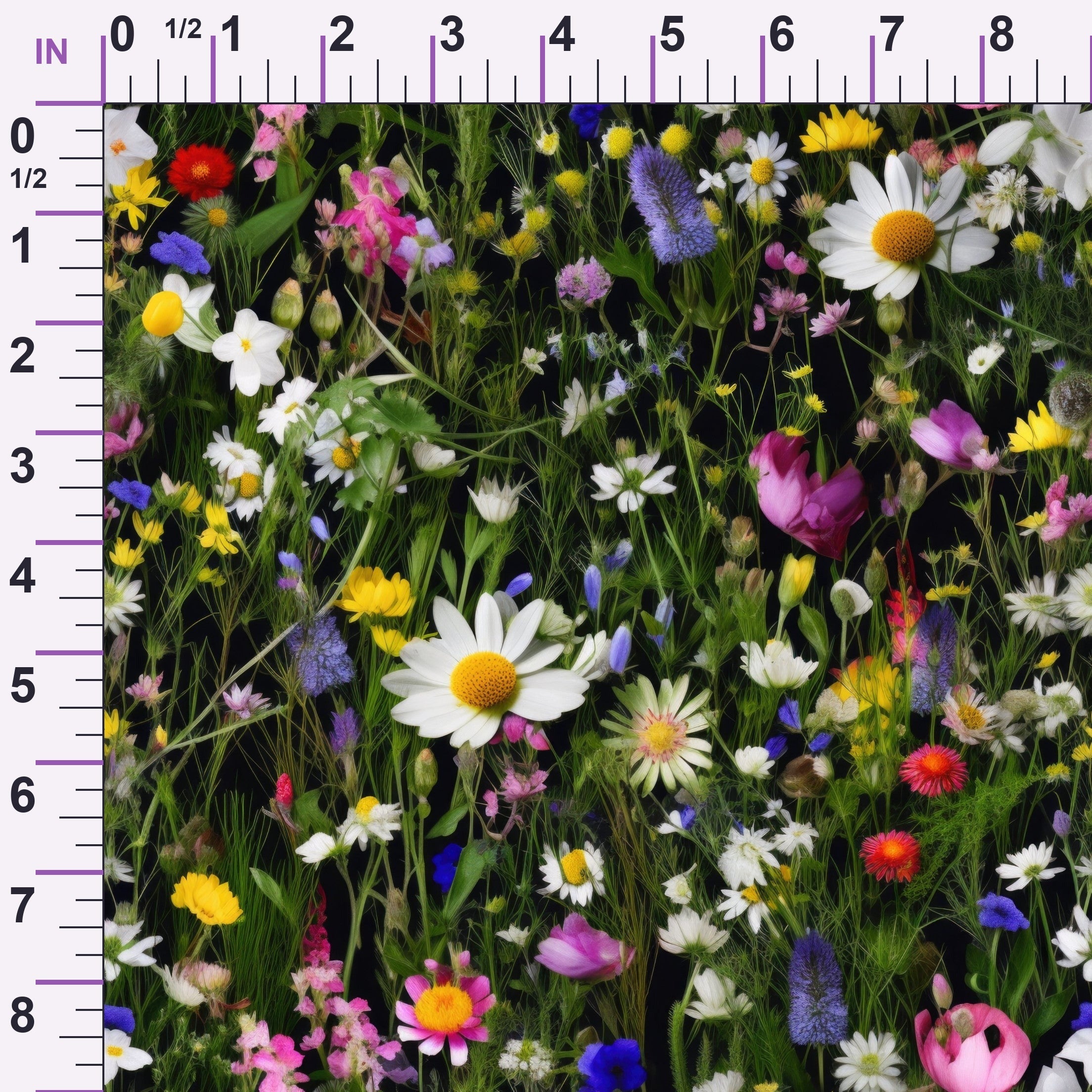 ruler-scale (auto)