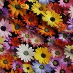Nature Texture Pattern 4 Minky Fabric — plush minky folded close-up preview (mv-minky-v1:lying)