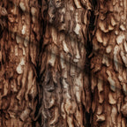 Nature Texture Pattern 8 Minky Fabric — plush minky folded close-up preview (mv-minky-v1:lying)