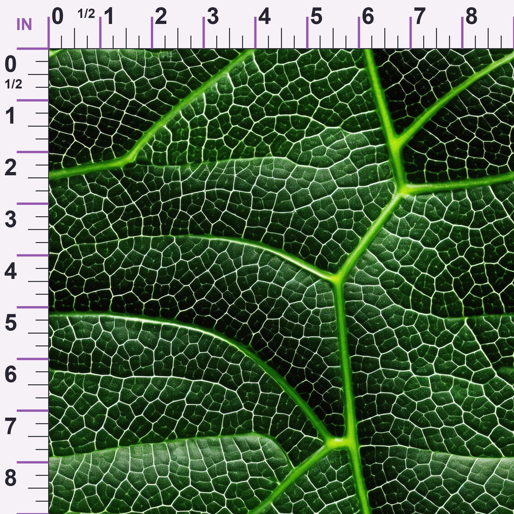 ruler-scale (auto)