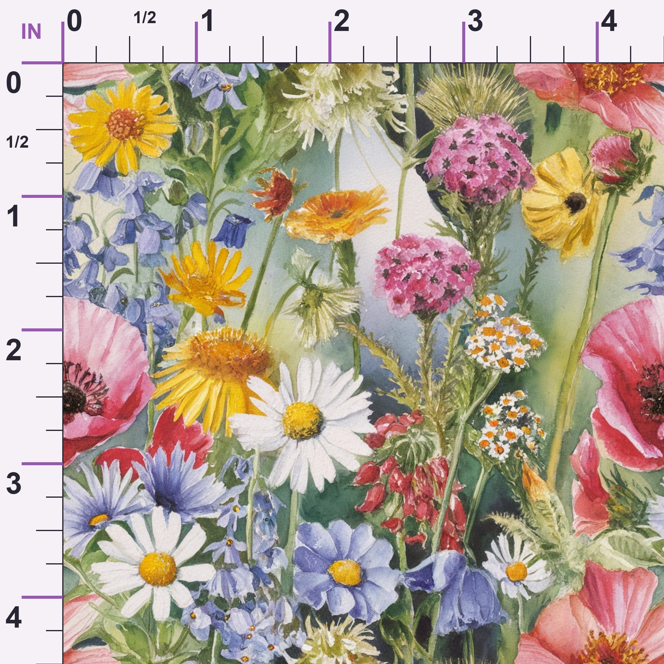 ruler-scale (auto)