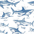 blue sharks, white background, marine animals, ocean creatures, swimming sharks, nautical theme, sea life, blue and white, repeating pattern,, fabric panel, sketched illustration, underwater scene, shark silhouettes, maritime design, aquatic animals, ocean pattern, coastal theme, nature wildlife, swimming motion