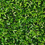 forest green, lime green, emerald, sage green, tiny leaves, small foliage, botanical pattern, nature design, leaf motif, dense foliage,, fabric panel, natural elements, organic pattern, scattered leaves, woodland theme, botanical print, green tones, leafy design, nature inspired