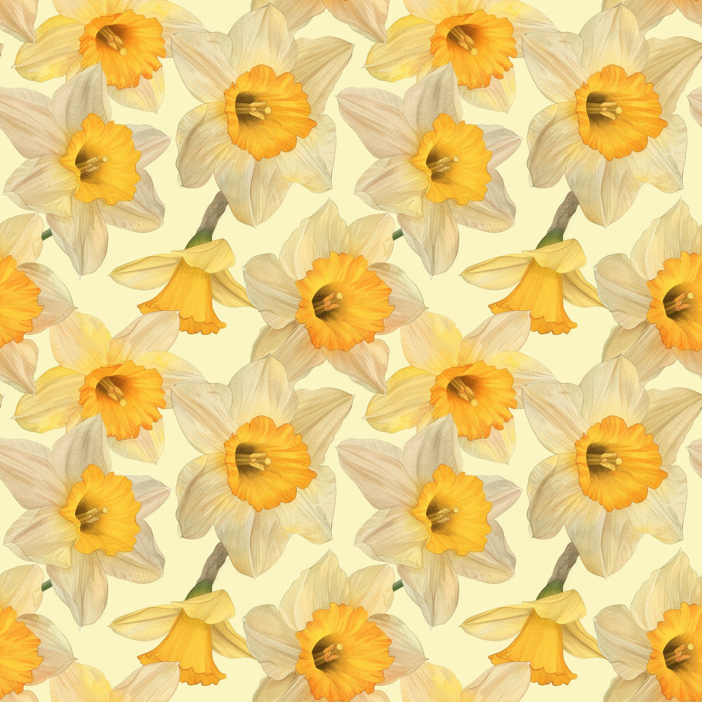 daffodil yellow, cream, pale yellow, golden yellow, soft yellow, butter yellow, spring flowers, floral pattern, daffodils, narcissus, botanical, nature theme, spring, easter, garden flowers, whimsical, cheerful, bright, sunny, delicate florals, timeless, traditional, nursery, baby room, kids room, springtime, cheerful design, flower motif, repeating pattern