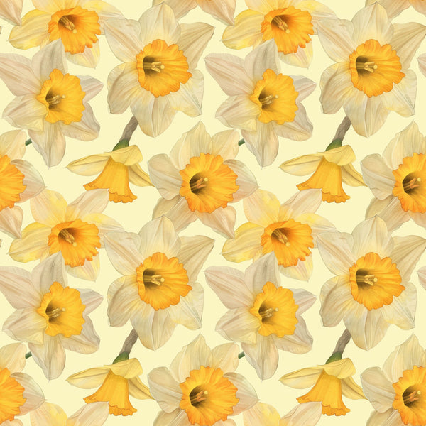 daffodil yellow, cream, pale yellow, golden yellow, soft yellow, butter yellow, spring flowers, floral pattern, daffodils, narcissus, botanical, nature theme, spring, easter, garden flowers, whimsical, cheerful, bright, sunny, delicate florals, timeless, traditional, nursery, baby room, kids room, springtime, cheerful design, flower motif, repeating pattern