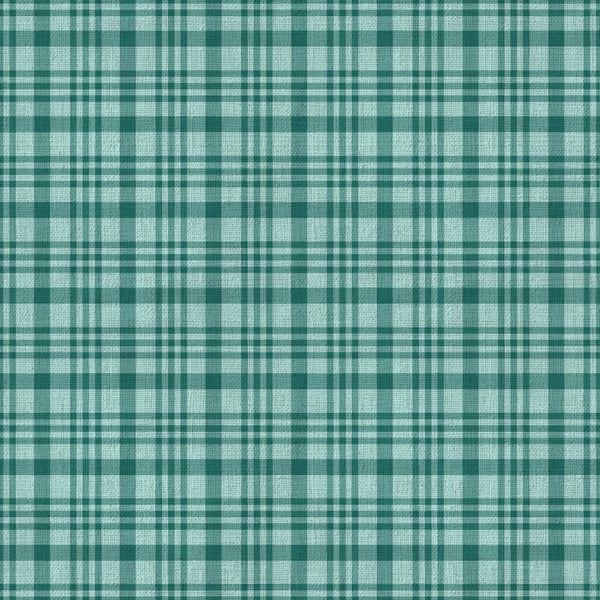 teal, seafoam green, light blue, white, plaid, checkered, gingham, geometric, traditional, classic, rustic, farmhouse, cottage core, kitchen, home decor, table linen, picnic style, retro, vintage, woven pattern, striped plaid, country style, spring, summer, casual, cozy, charming
