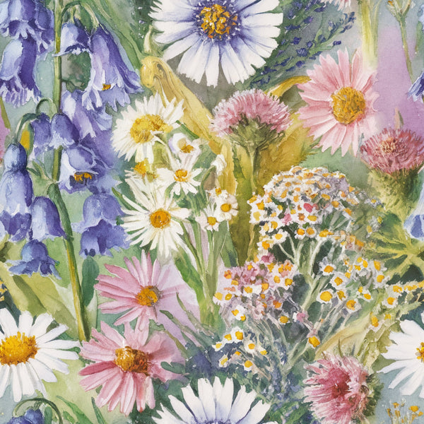 wildflower meadow, watercolor style, botanical illustration, purple flowers, pink daisies, white blooms, yellow centers, blue blossoms, lavender hues, garden flowers, spring florals, nature pattern,, fabric panel, delicate petals, soft pastels, whimsical florals, cottage garden, meadow wildflowers, artistic florals
