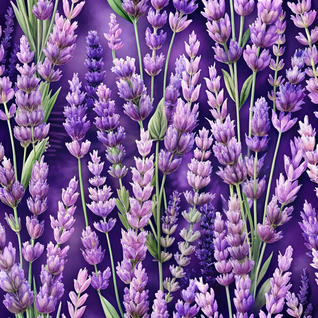 purple, lavender, violet, deep purple, green stems, realistic flowers, lavender blossoms, floral pattern, botanical design, nature motif,, fabric panel, spring flowers, herb garden, purple gradient, detailed florals, meadow scene, aromatic plants, cottage garden, vibrant purple