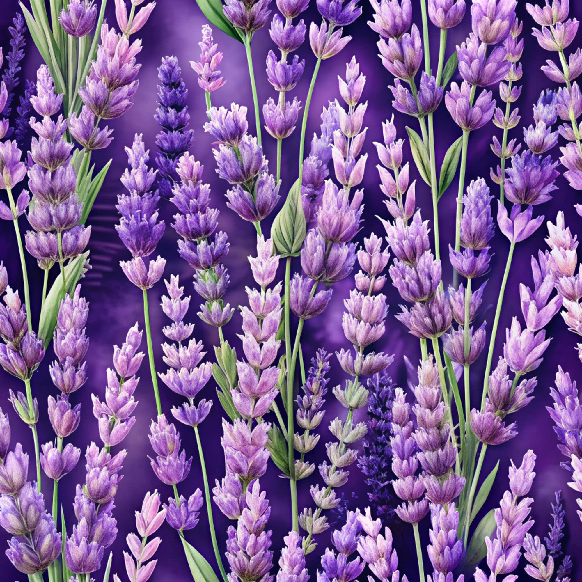 purple, lavender, violet, deep purple, green stems, realistic flowers, lavender blossoms, floral pattern, botanical design, nature motif,, fabric panel, spring flowers, herb garden, purple gradient, detailed florals, meadow scene, aromatic plants, cottage garden, vibrant purple