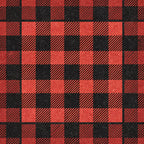 red, black, buffalo plaid, checkered pattern, gingham, plaid design,, fabric panel, alternating squares, diagonal stripes, rustic, country style, geometric pattern, textured appearance, cabin decor, lumberjack plaid, woven effect, square blocks, contrasting colors, vintage plaid