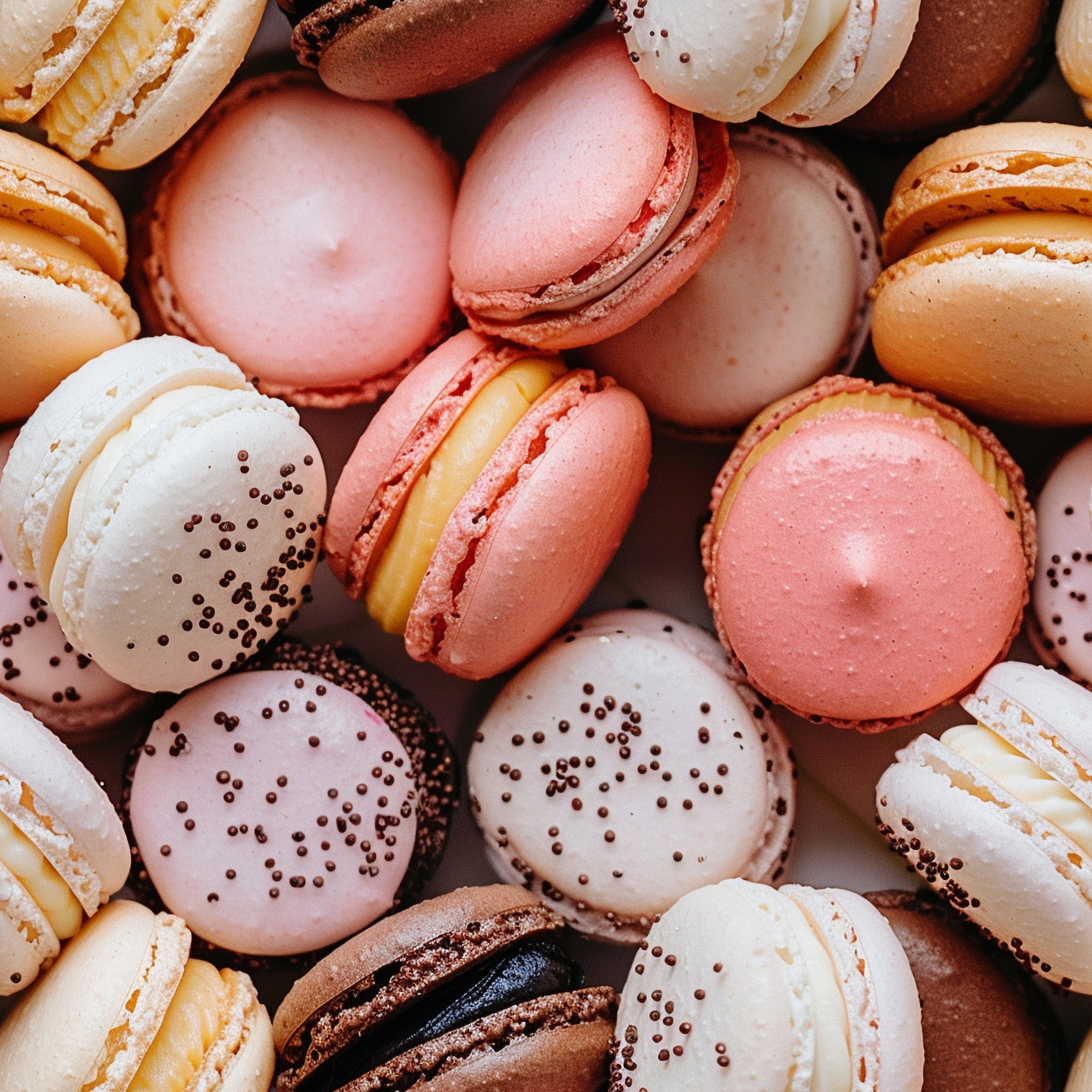 macarons, french pastries, pink, coral, white, cream, chocolate brown, beige, dessert pattern, sweet treats, food motif, colorful cookies, sandwich cookies, sprinkles, bakery theme,, fabric panel, delicate pastels, confectionery design, culinary print