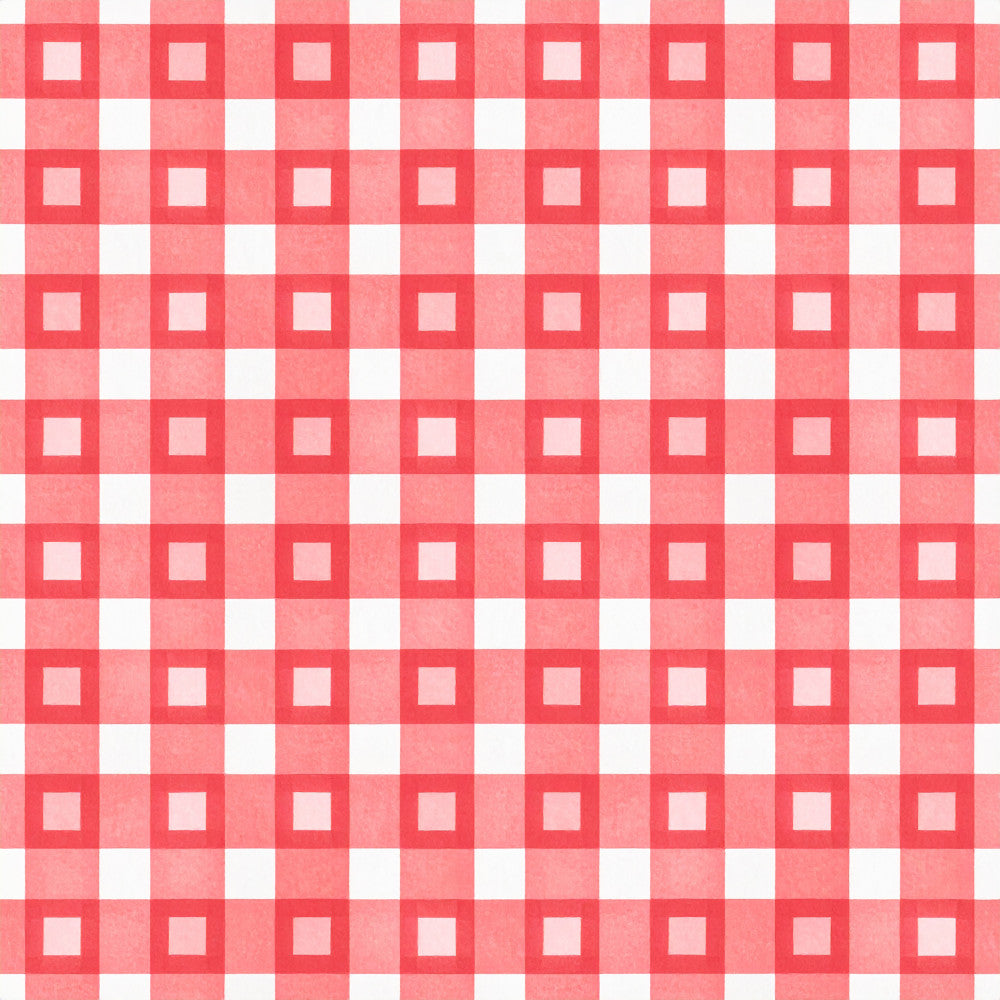 coral pink, red and white, gingham, checkered, geometric, picnic, classic, traditional, farmhouse, rustic, vintage, cottage core, kitchen, home decor, picnic table aesthetic, spring, summer, casual, charming, country style, simple pattern, repeating pattern, bold colors, high contrast, cheerful, retro, nostalgia