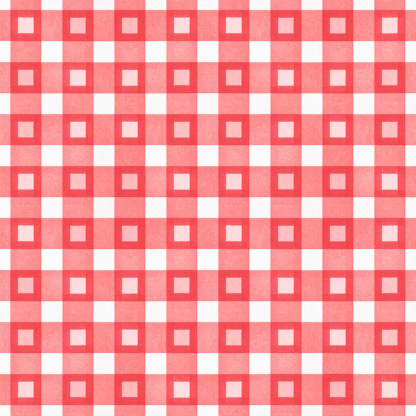coral pink, red and white, gingham, checkered, geometric, picnic, classic, traditional, farmhouse, rustic, vintage, cottage core, kitchen, home decor, picnic table aesthetic, spring, summer, casual, charming, country style, simple pattern, repeating pattern, bold colors, high contrast, cheerful, retro, nostalgia