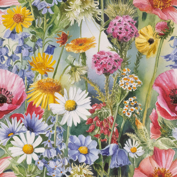 wildflowers, botanical illustration, watercolor style, coral pink, lavender blue, sunny yellow, sage green, white daisies, pink poppies, purple asters, orange calendula, mixed blooms, garden flowers, natural meadow, spring florals,, fabric panel, delicate petals, whimsical arrangement, cottage garden