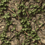 realistic camo, hunting pattern, ivy leaves, tree bark, brown bark, green foliage, woodland camouflage, nature scene, climbing vines, outdoor theme,, fabric panel, earth tones, forest pattern, camouflage print, botanical design, hunting fabric, natural textures, outdoor adventure