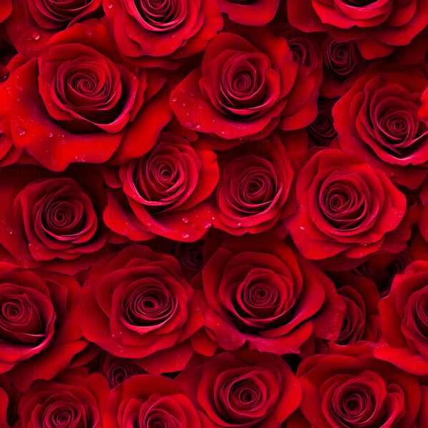 deep red, crimson, burgundy, realistic roses, floral pattern, rose blooms, layered petals, water droplets, romantic flowers, dense arrangement, botanical design,, fabric panel, valentine theme, love motif, rich textures, photorealistic style, seamless pattern, romantic mood, flower photography