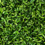 forest green, lime green, emerald green, sage green, tiny leaves, botanical pattern, leaf motif, nature design, dense foliage,, fabric panel, organic shapes, natural elements, layered leaves, woodland theme, fresh greenery, botanical print, leaf clusters, verdant pattern, spring foliage