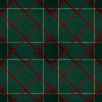 forest green, deep red, gold, burgundy, plaid, tartan, traditional, classic, holiday, christmas, festive, geometric, striped, elegant, formal, scottish, masculine, winter, home decor, upholstery, apparel, vintage, timeless, neutral accents, woven pattern, plaid pattern, red and green, holiday decor, seasonal