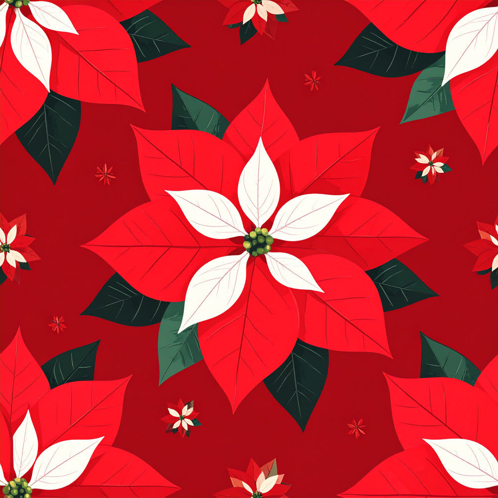 crimson red, white petals, dark green leaves, poinsettia, holiday, christmas, festive, floral, nature, botanical, elegant, traditional, winter, seasonal, red and white, flower blooms, layered petals, decorative leaves, classic holiday, festive design, red florals, white accents, green foliage, multi-layered flowers, holiday decor, christmas themed, winter florals, traditional poinsettia, red theme, sophisticated