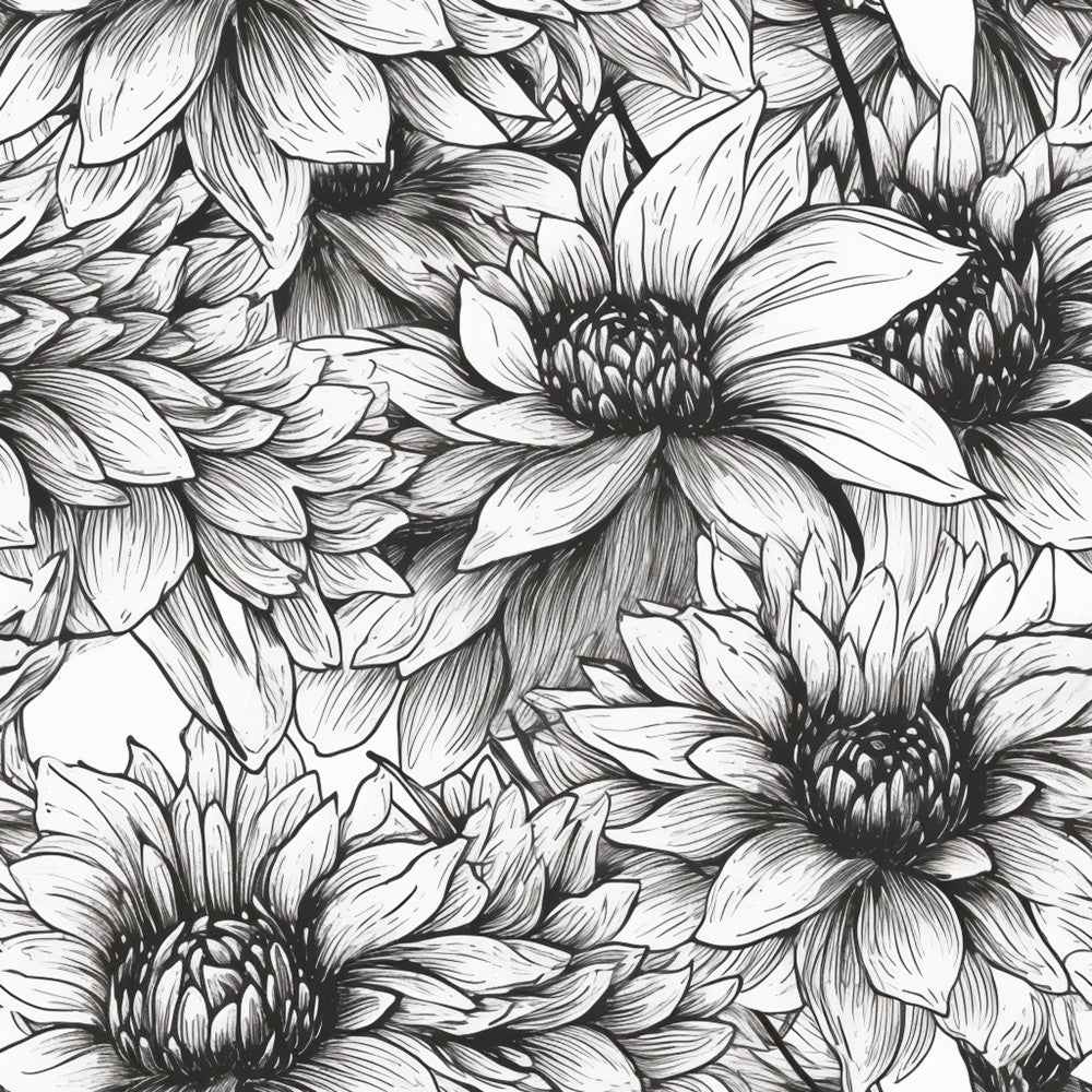 black and white, monochrome, floral, dahlias, botanical, nature, line art, sketch style, elegant, sophisticated, garden flowers, detailed petals, hand-drawn, illustration style, timeless, classic, black ink, white background, flower blooms, layered petals, artistic, decorative, traditional, ornamental, spring, summer, home decor, sewing projects