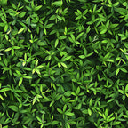 forest green, lime green, emerald green, olive green, tiny leaves, leaf pattern, botanical design, nature motif, dense foliage, scattered leaves, organic pattern,, fabric panel, natural theme, garden inspired, spring vibes, realistic leaves, layered design, seamless pattern, crafting material