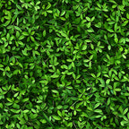 forest green, lime green, emerald green, tiny leaves, botanical pattern, nature motif, small scale print, dense foliage, leafy design,, fabric panel, natural elements, organic shapes, verdant, lush greenery, seamless pattern, miniature botanicals, spring fresh, vibrant greens