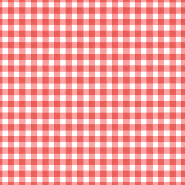 coral pink, white, gingham, checkered, checked pattern, geometric, picnic, farmhouse, rustic, vintage, classic, traditional, kitchen, home decor, children's, kids, playroom, nursery, baby, cottage style, country, retro, cheerful, bright, bold pattern, table linen inspired, casual, cozy, cute