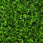 green, lime green, dark green, forest green, tiny leaves, leaf pattern, botanical design, nature motif, dense foliage, small scale print,, fabric panel, natural elements, organic pattern, leafy texture, botanical print, miniature leaves, verdant, lush greenery, seamless pattern