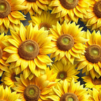 sunflowers, golden yellow, bright yellow, orange tones, brown centers, green centers, realistic floral, botanical pattern, layered petals, dense arrangement, vibrant blooms, summer flowers,, fabric panel, nature motif, warm colors, detailed flowers, overlapping design, cheerful mood, seasonal blooms