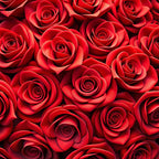 red roses, crimson, deep red, burgundy, realistic flowers, rose pattern, floral design, botanical motif,, fabric panel, romantic theme, layered petals, dense arrangement, vibrant colors, nature inspired, blooming roses, flower clusters, textured appearance, valentine's theme, elegant florals