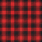 red, black, buffalo plaid, checkered pattern, gingham, tartan, plaid design,, fabric panel, geometric pattern, alternating squares, diagonal stripes, lumberjack style, country pattern, rustic, checkerboard, textile design, cotton fabric