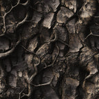 bark texture, tree bark, brown, tan, beige, dark brown, natural camouflage, hunting camo, realistic pattern, outdoor theme, woodsy, earthy tones,, fabric panel, nature inspired, rugged texture, masculine, wilderness, forest colors, tactical pattern
