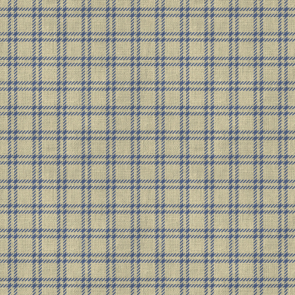 blue and cream plaid, blue gingham check, classic plaid pattern, farmhouse style, geometric grid, light cream, navy blue, plaid check, traditional plaid, woven texture, countryside, rustic, striped plaid, textured check, double lines, repeating pattern, formal style, classic design, home decor, quilt backing, coordinating print, preppy style, cottage core, neutral palette, timeless pattern, structured pattern, organized design, linear pattern, classic americana, country style