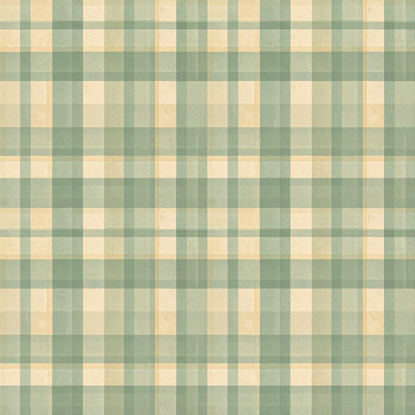 sage green, cream, ivory, muted green, soft green, pastel green, pale yellow, gingham, plaid, checkered, check pattern, woven pattern, classic plaid, traditional plaid, farmhouse style, rustic, cottage core, vintage, retro, country, spring, summer, nursery, kids room, playroom, baby, gender neutral, calming colors, natural tones