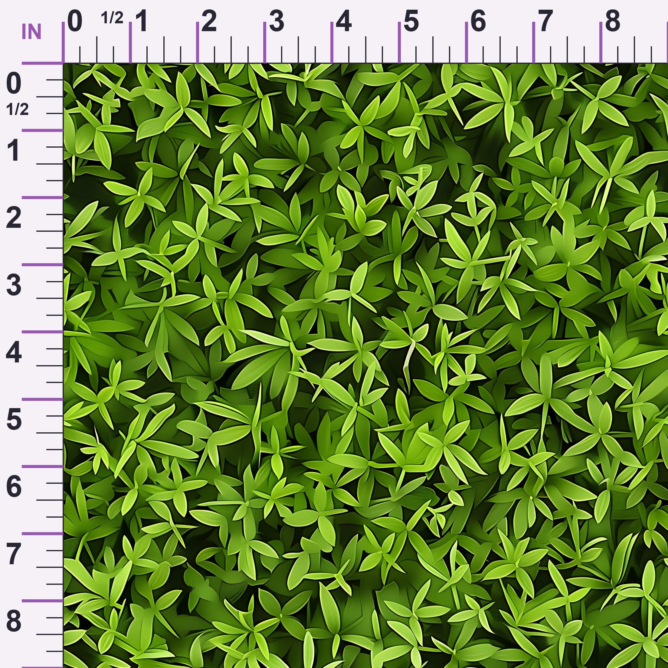 ruler-scale (auto)
