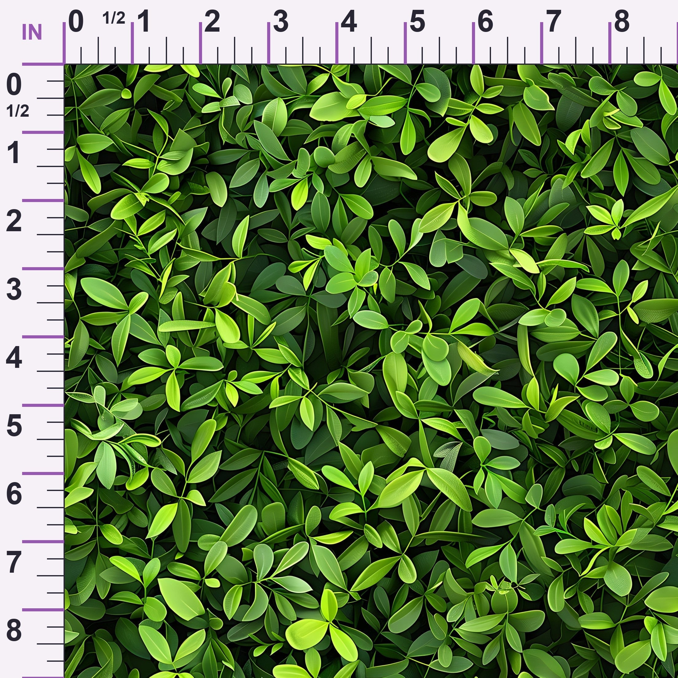 ruler-scale (auto)