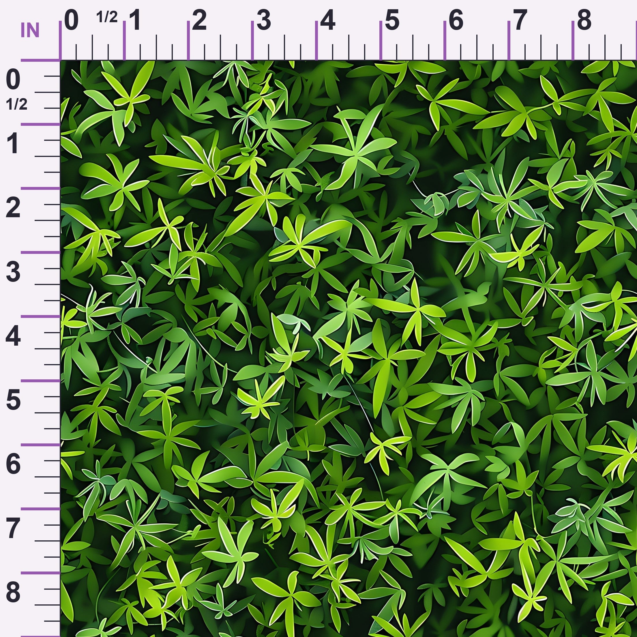 ruler-scale (auto)