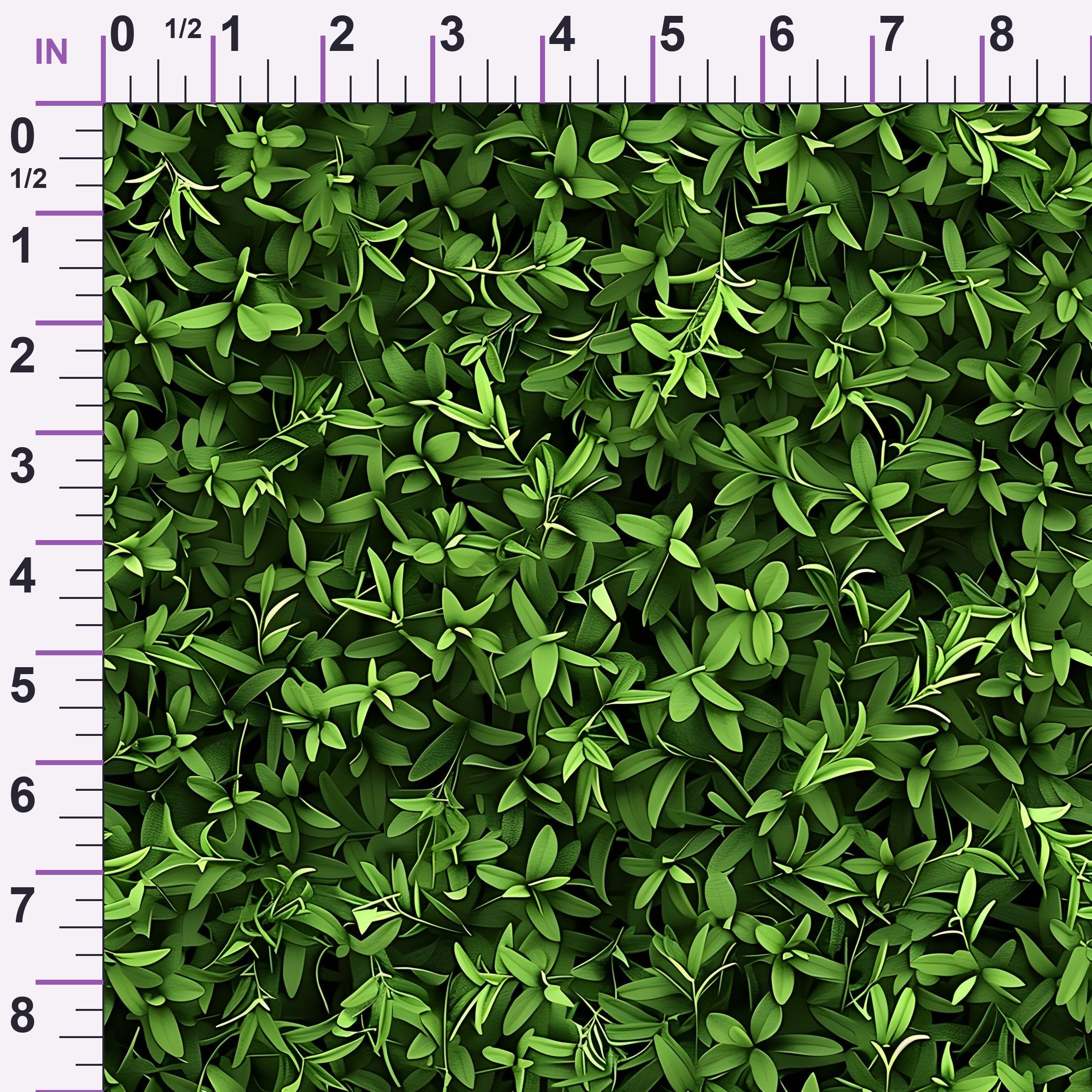 ruler-scale (auto)