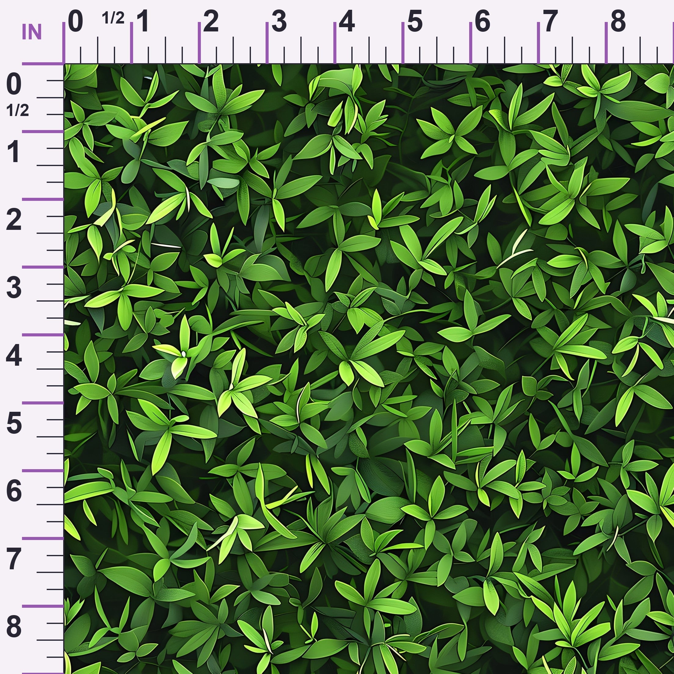 ruler-scale (auto)