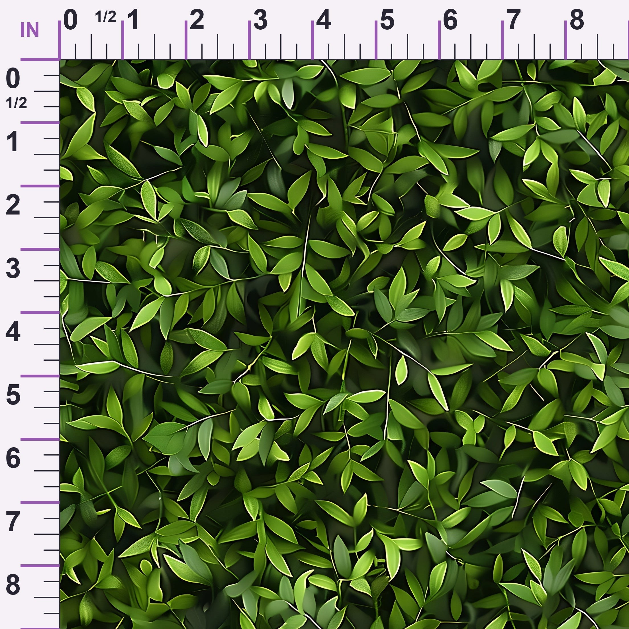 ruler-scale (auto)